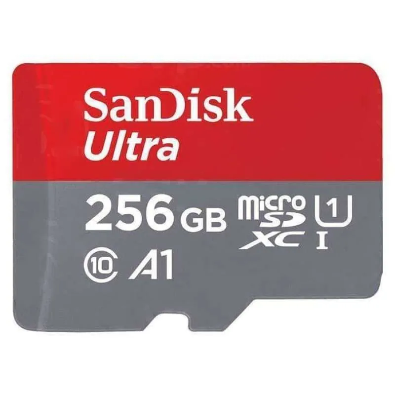 SD Card 256GB Sandisk C10/150